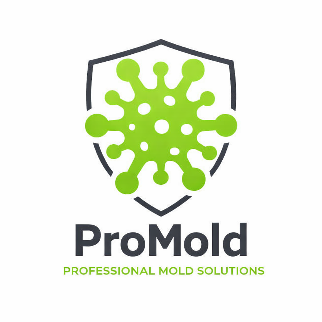 ProMold Professional Mold Solutions